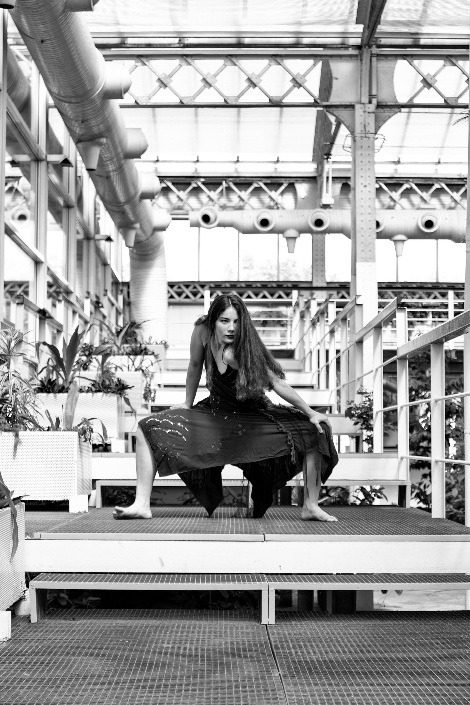 Vega en solo contemporáneo